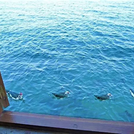 Nyaraló House In By The Sea *